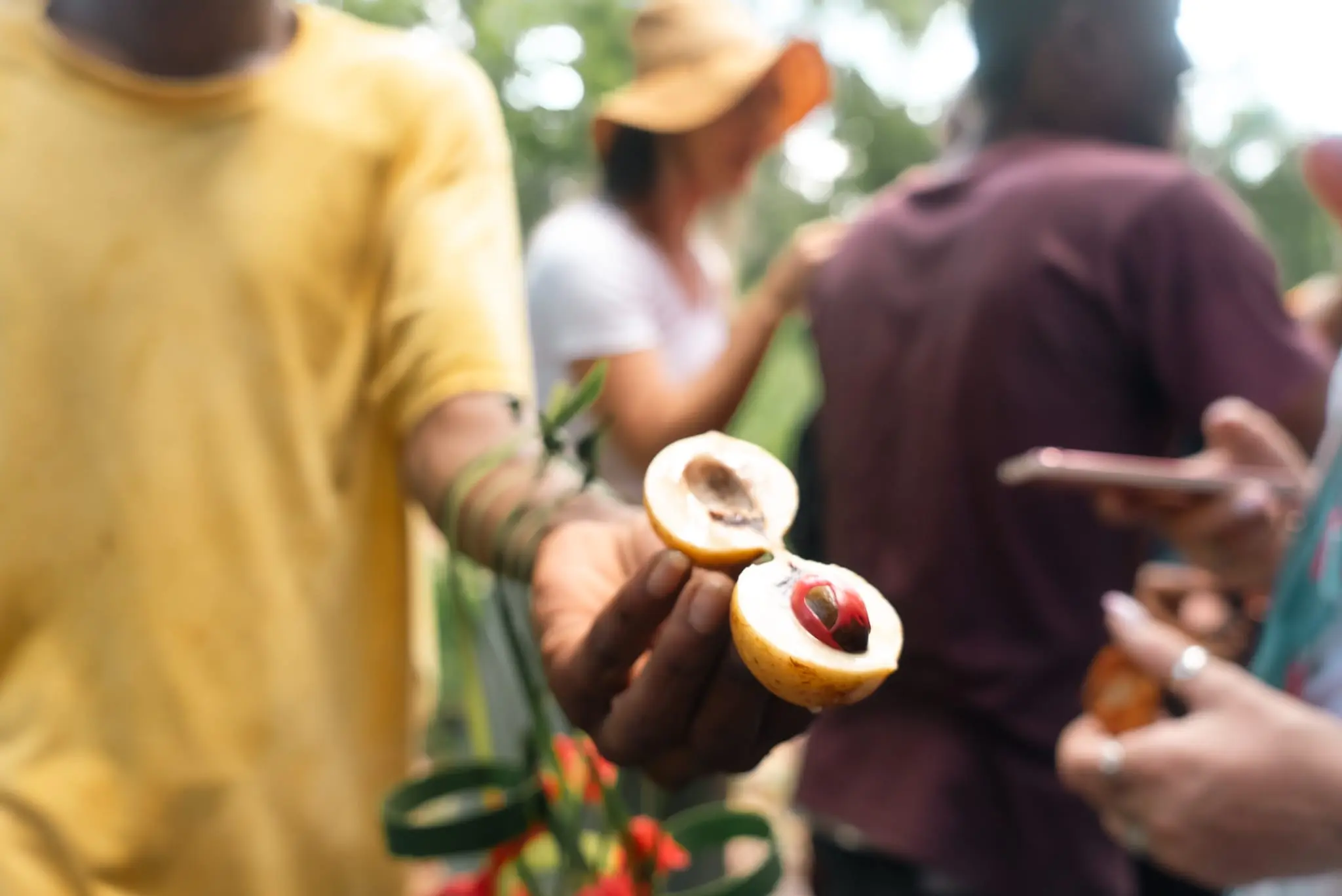 Zanzibar spice and cultural experience